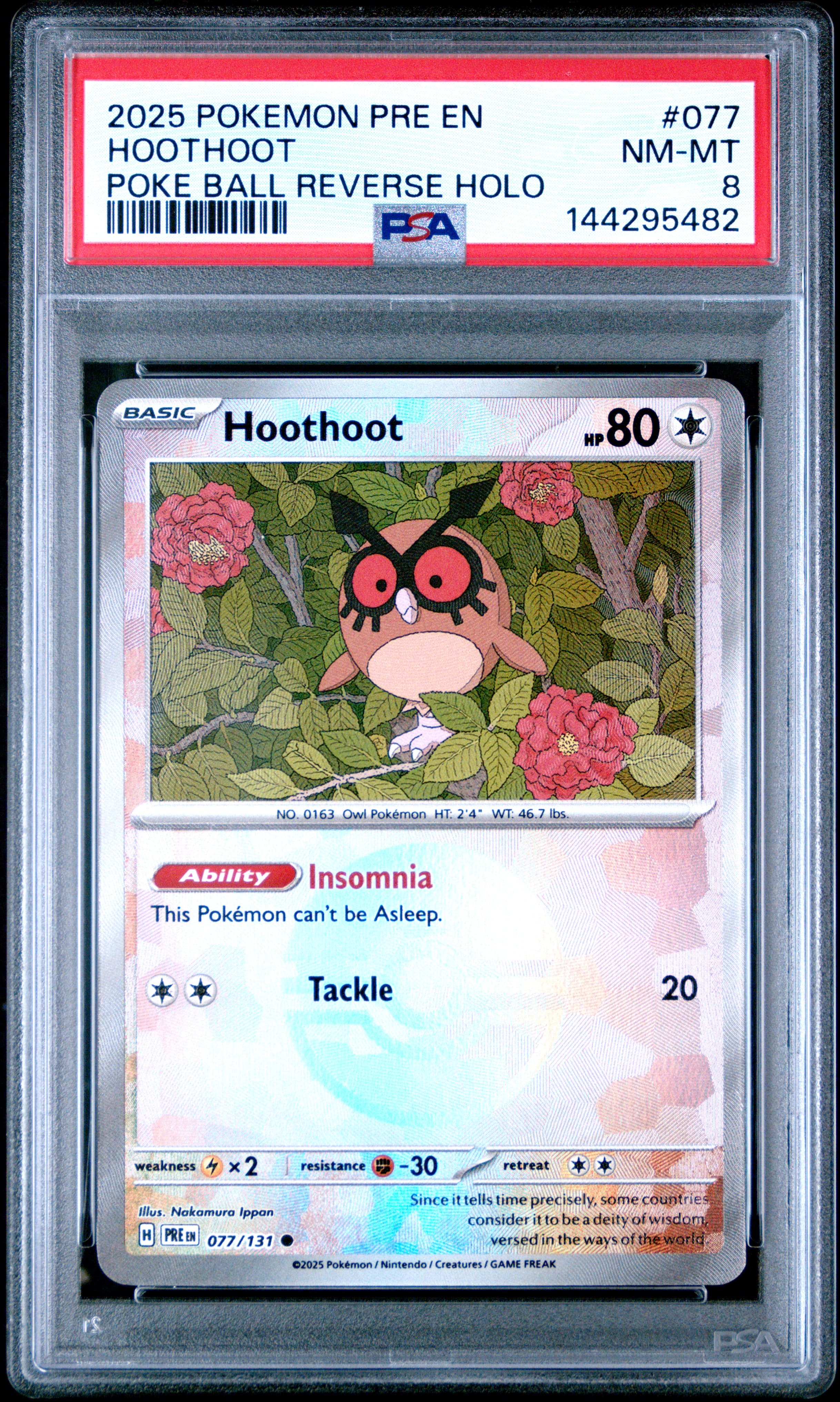 HOOTHOOT