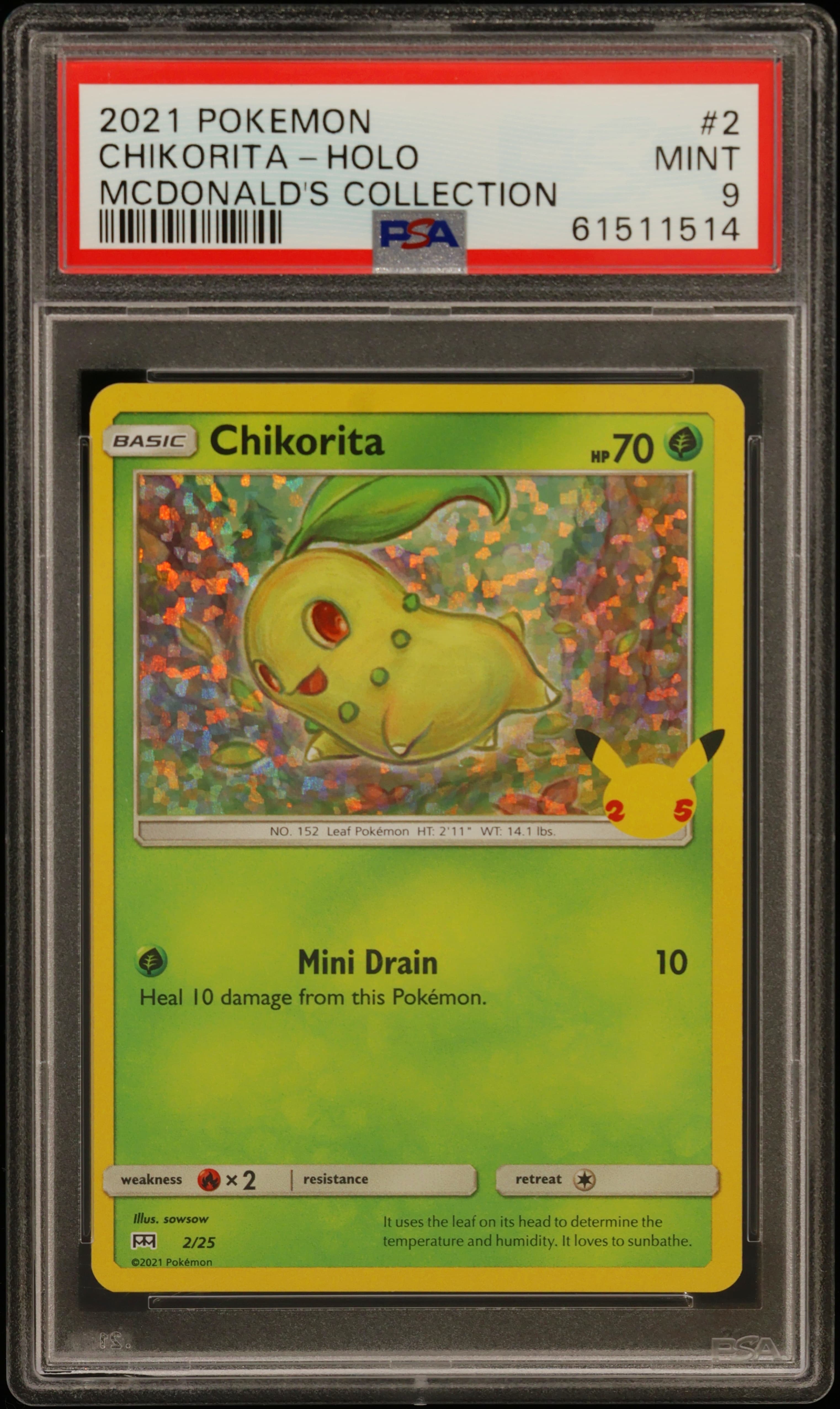 Chikorita-Holo