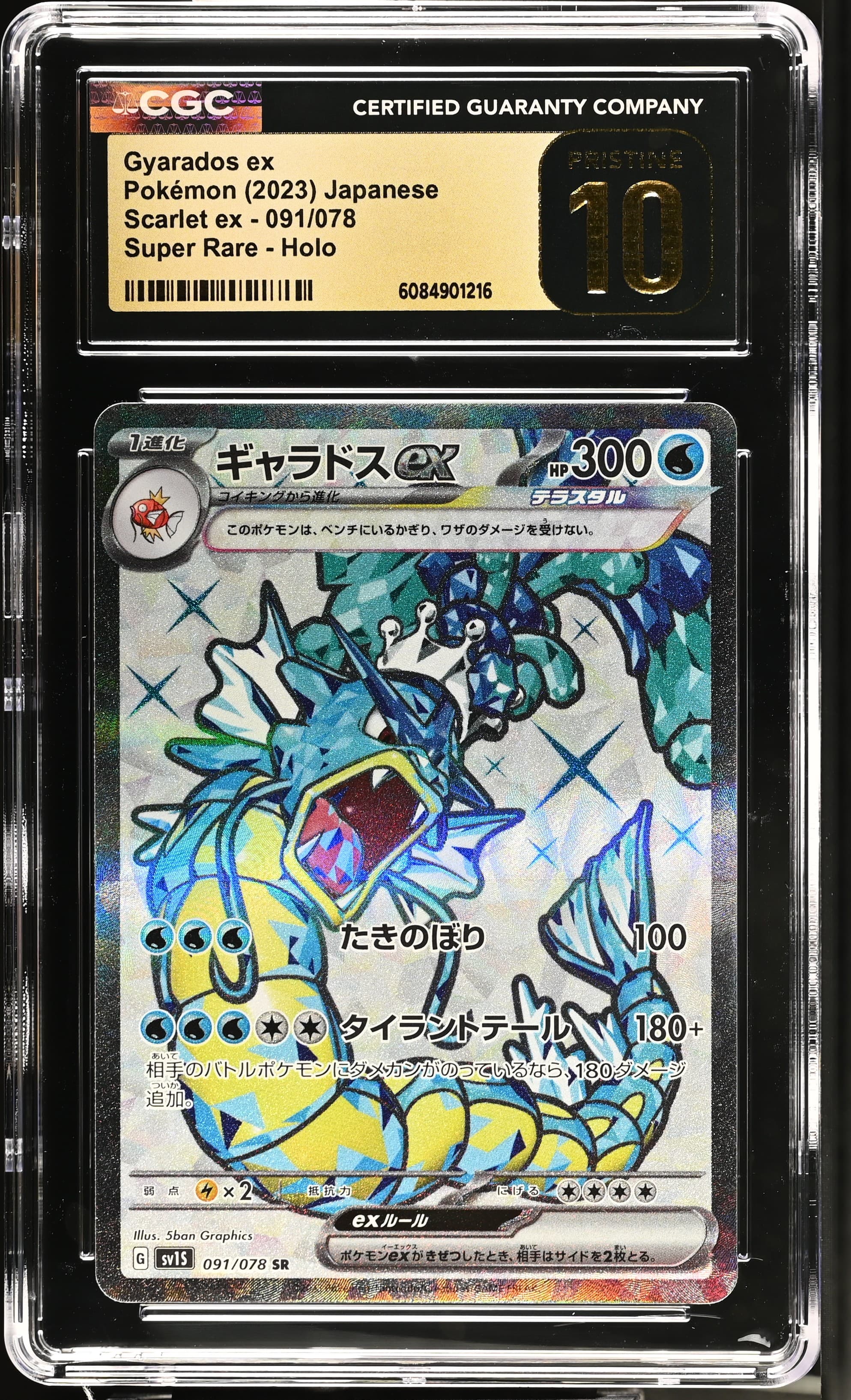 Gyarados ex