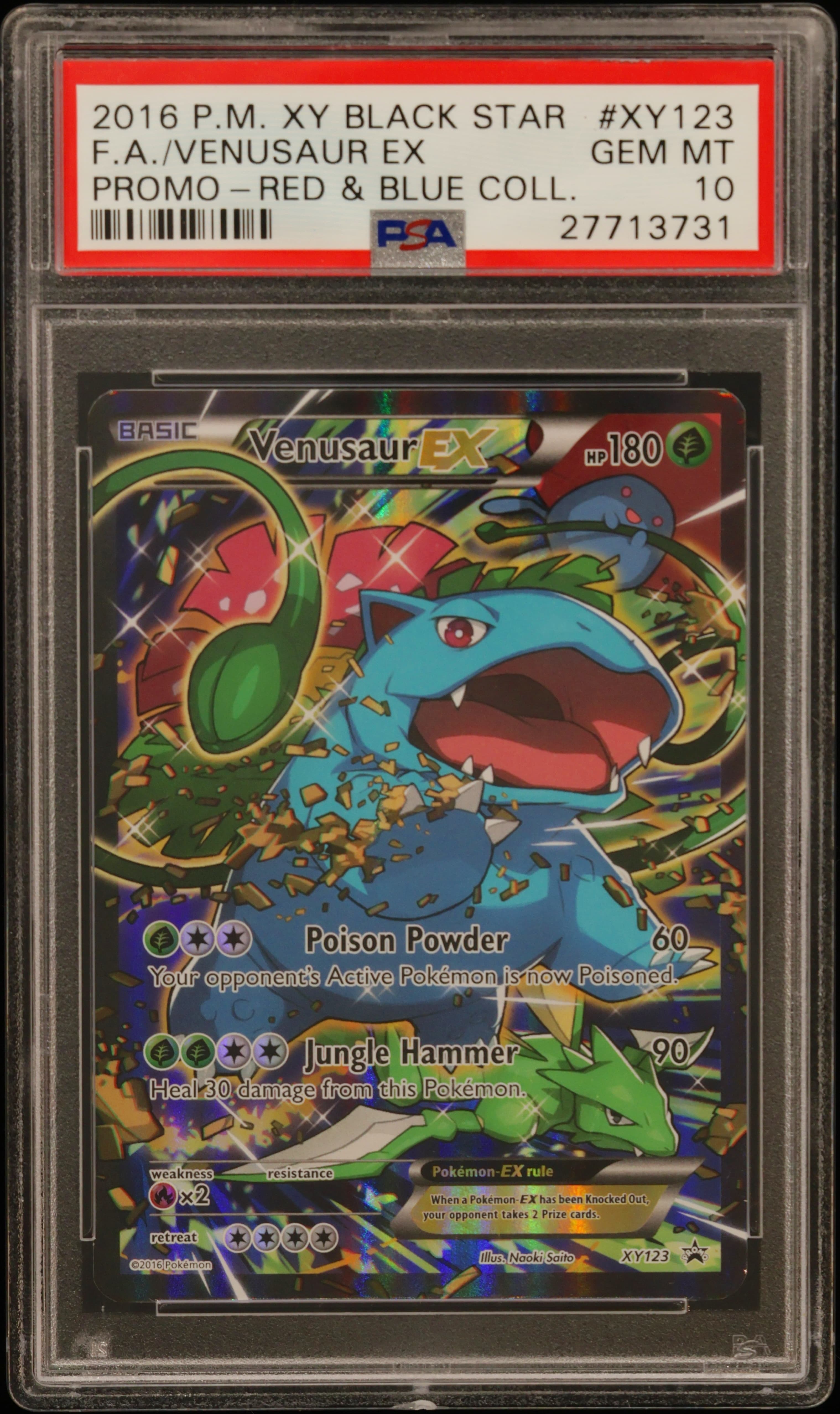 Full Art/Venusaur EX