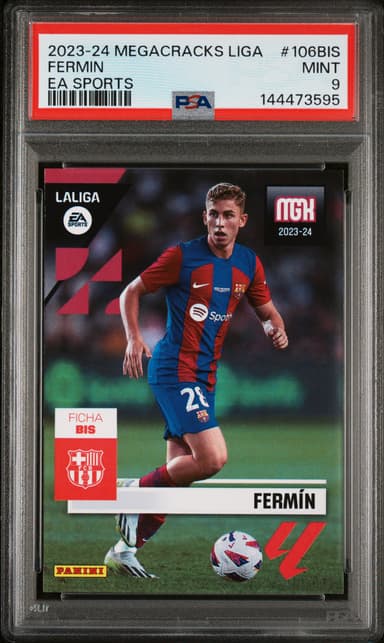 Fermin