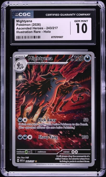 Pokemon Mega Evolution Ascended Heroes IR Mightyena #243
