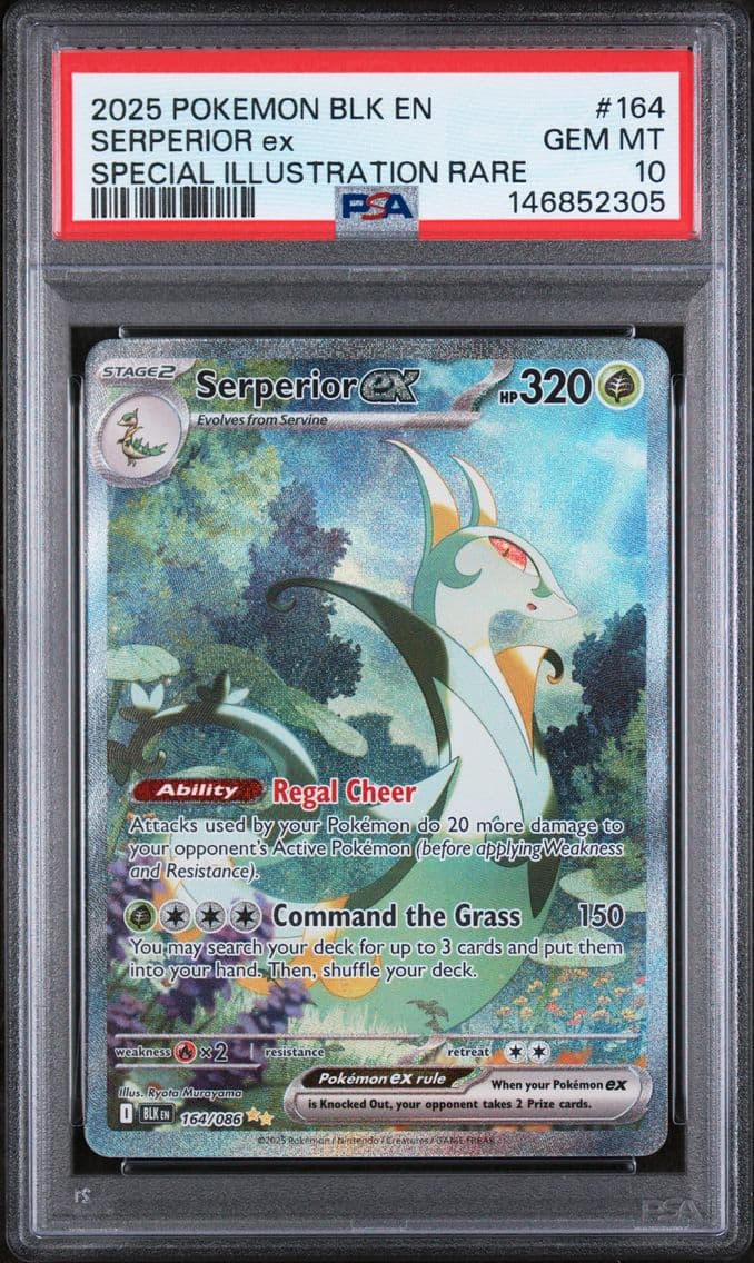 2025 #164 Serperior EX PSA 10 Bl