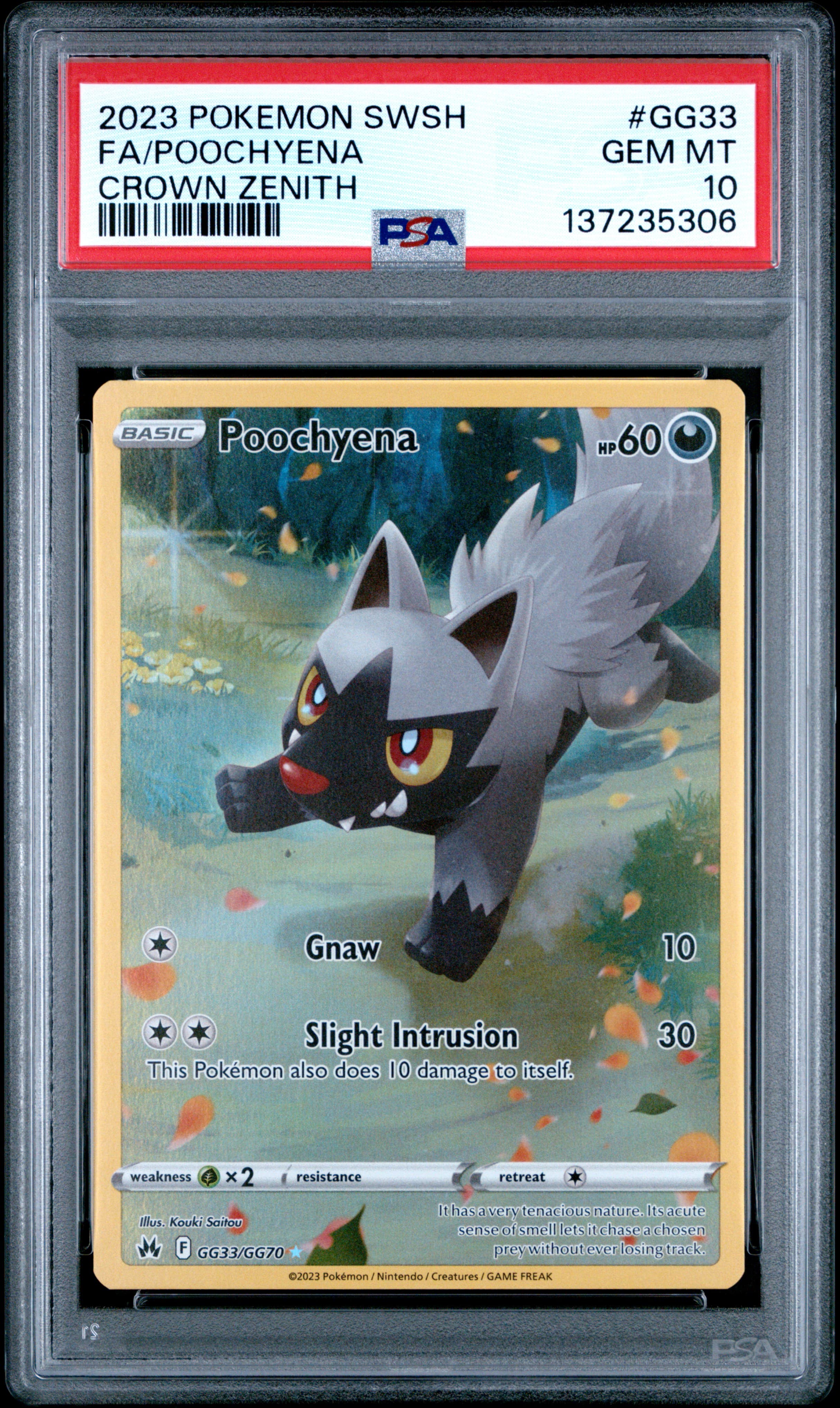 Full Art/Poochyena
