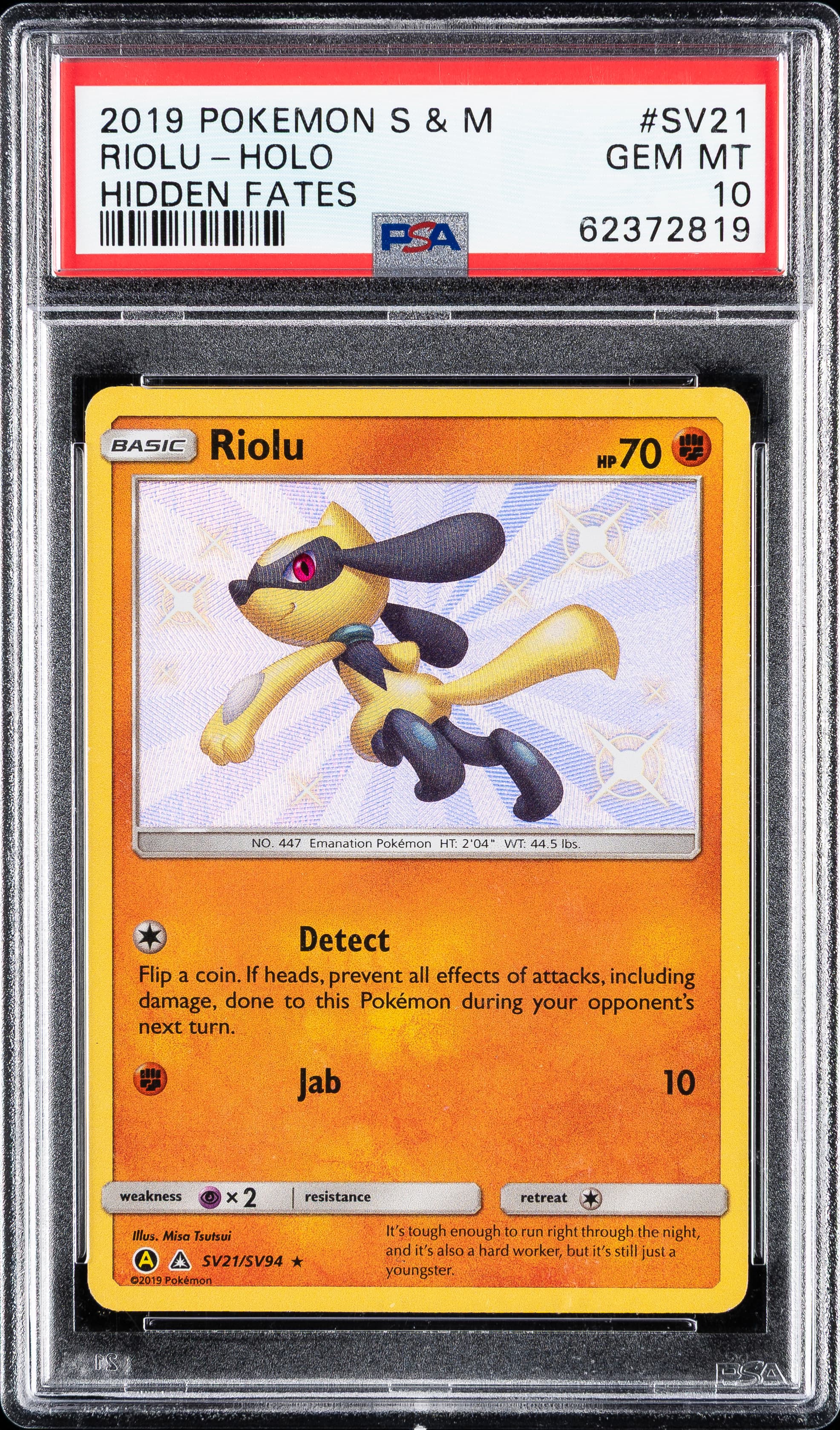 Riolu-Holo