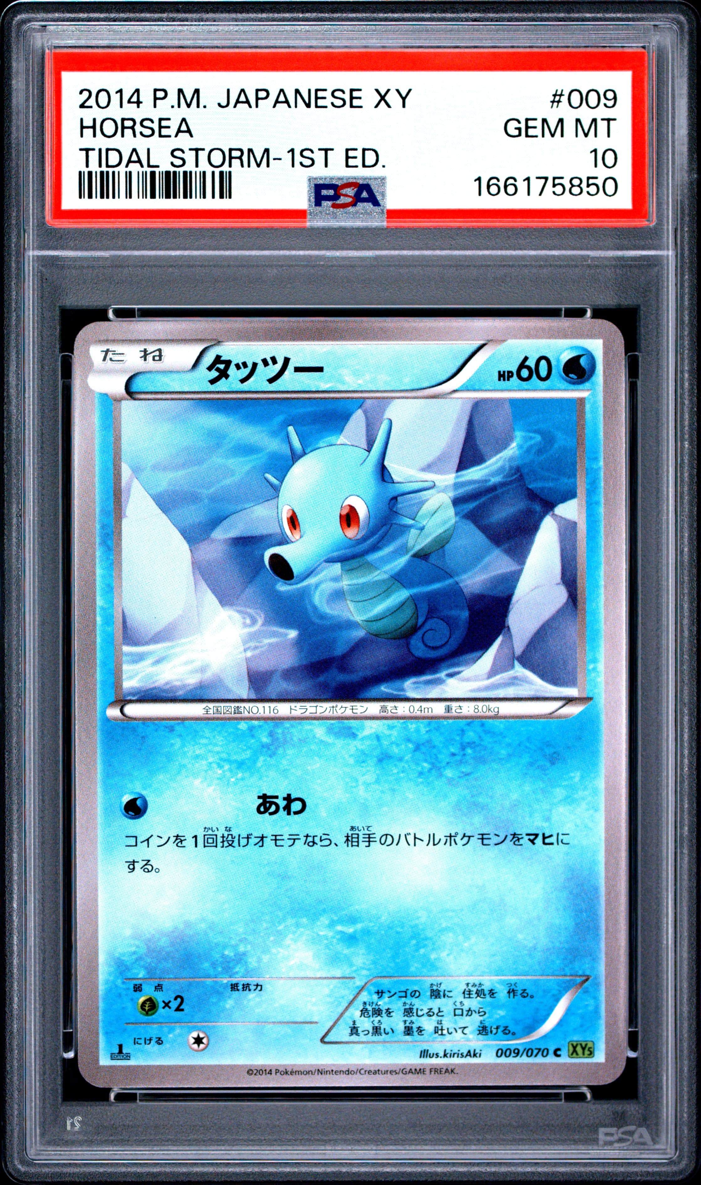 Horsea 1st Edition