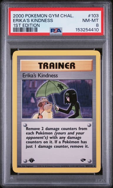 Erika's Kindness 1st Edition
