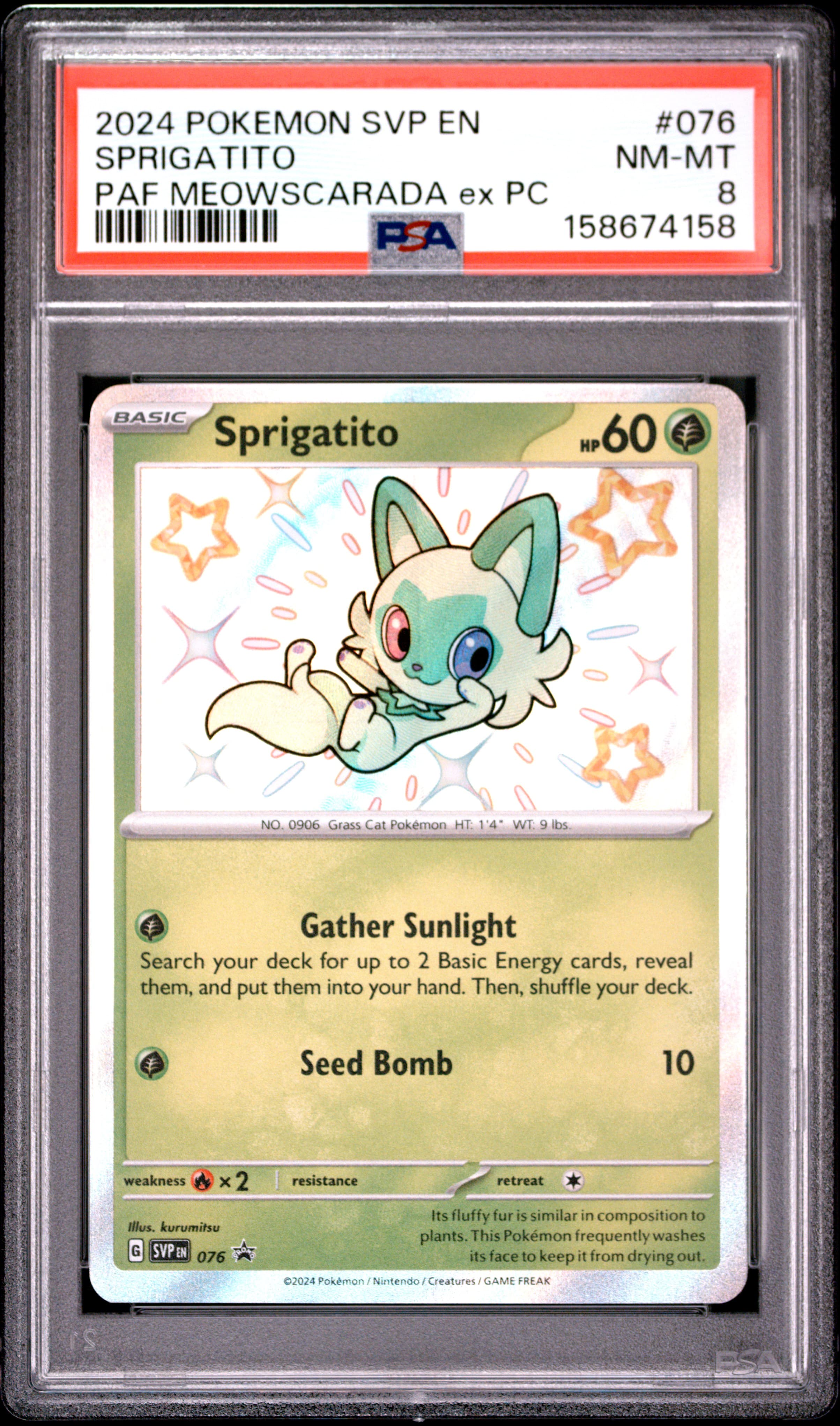 Sprigatito