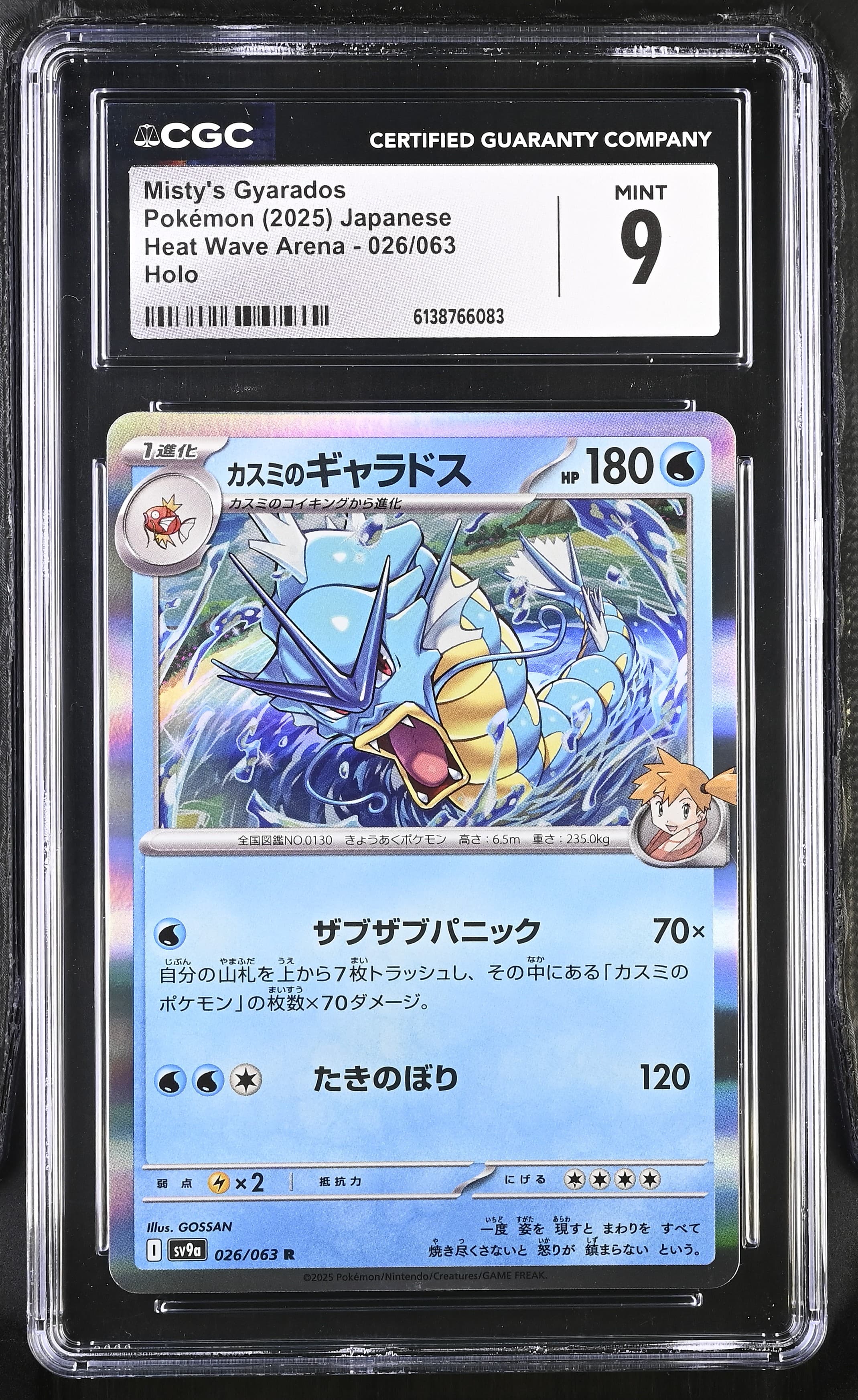 Misty's Gyarados