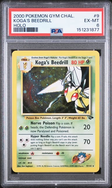 Koga's Beedrill