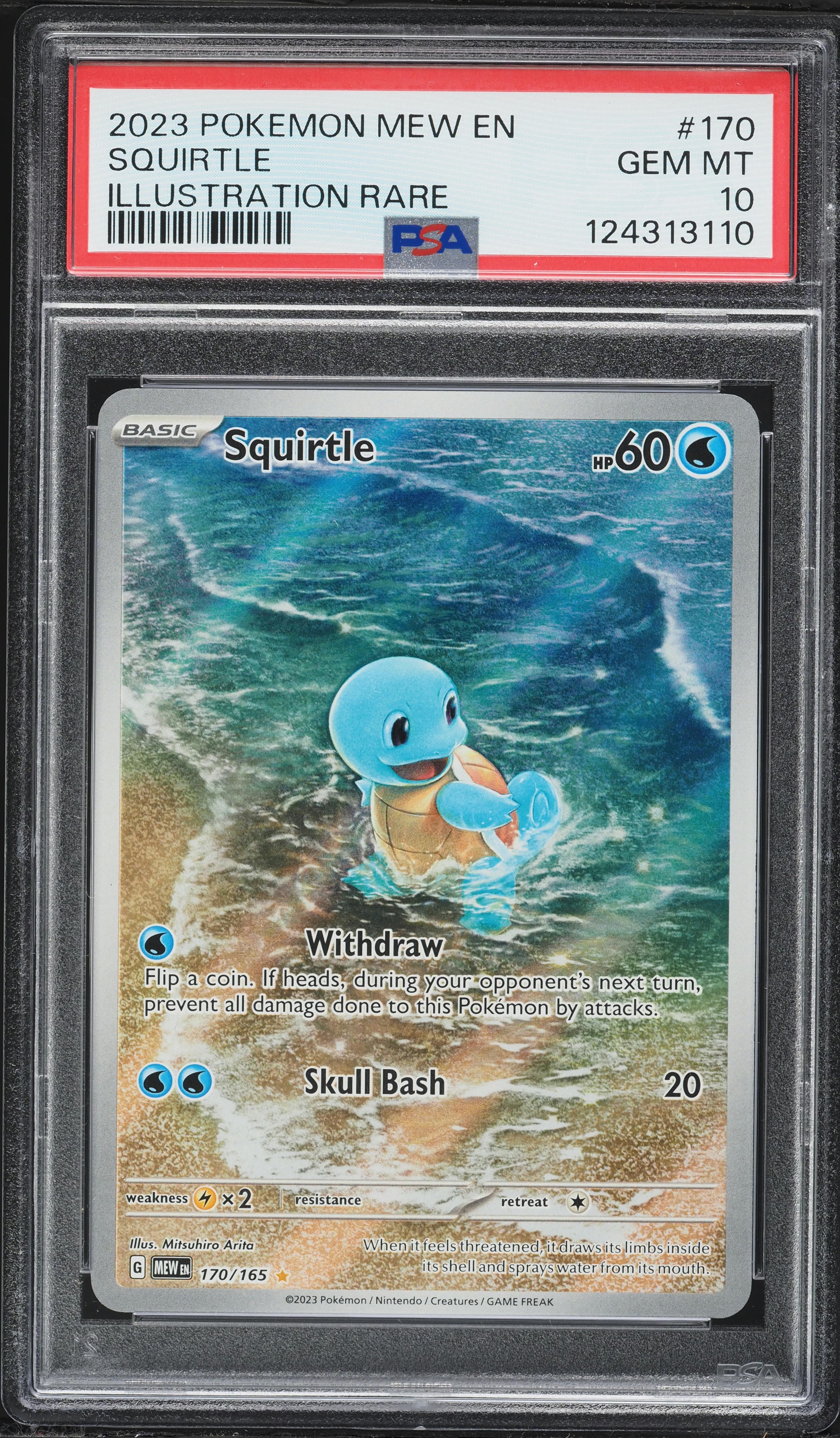 Squirtle