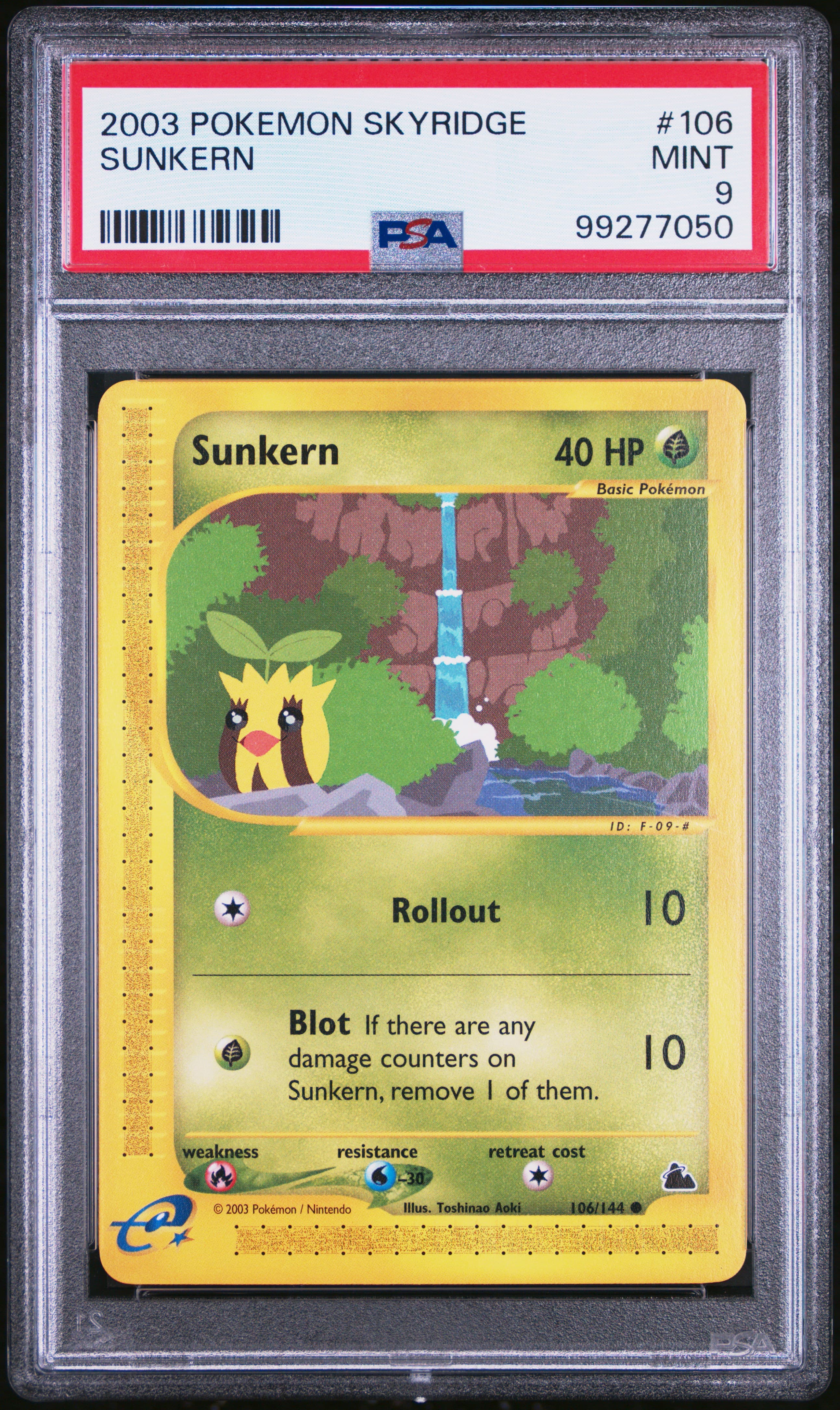 SUNKERN