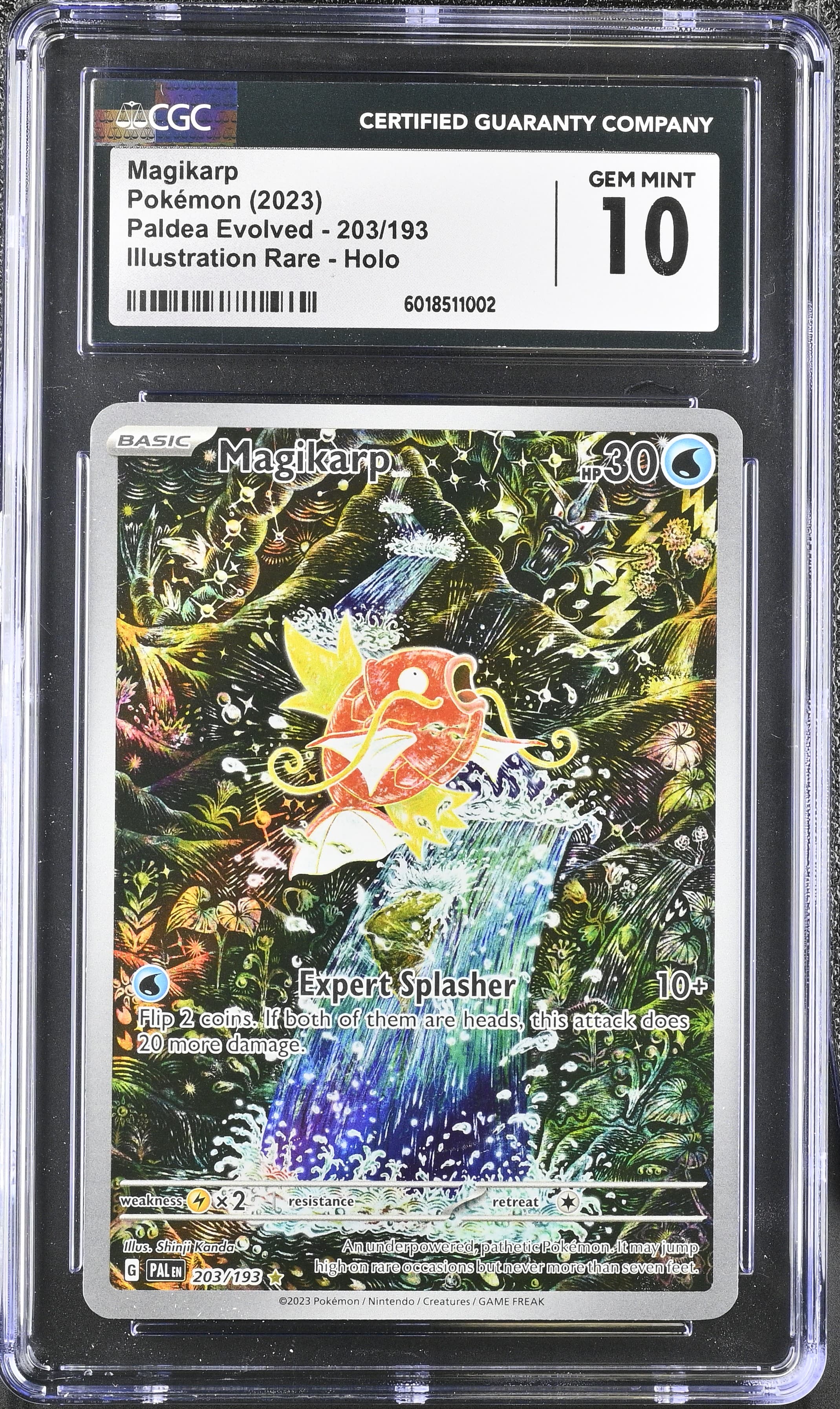 Magikarp