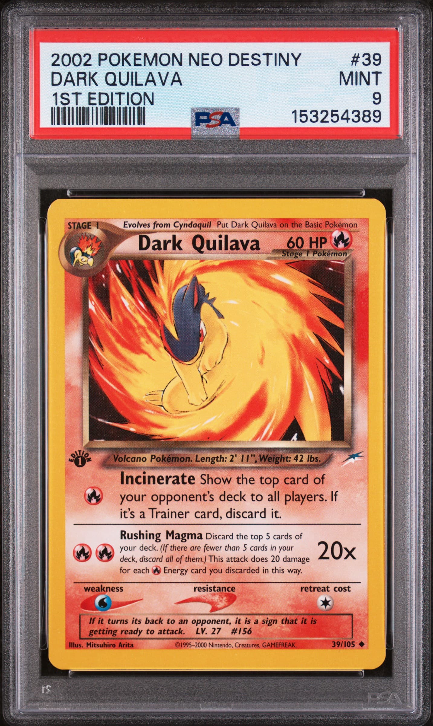 Dark Quilava 1st Edition