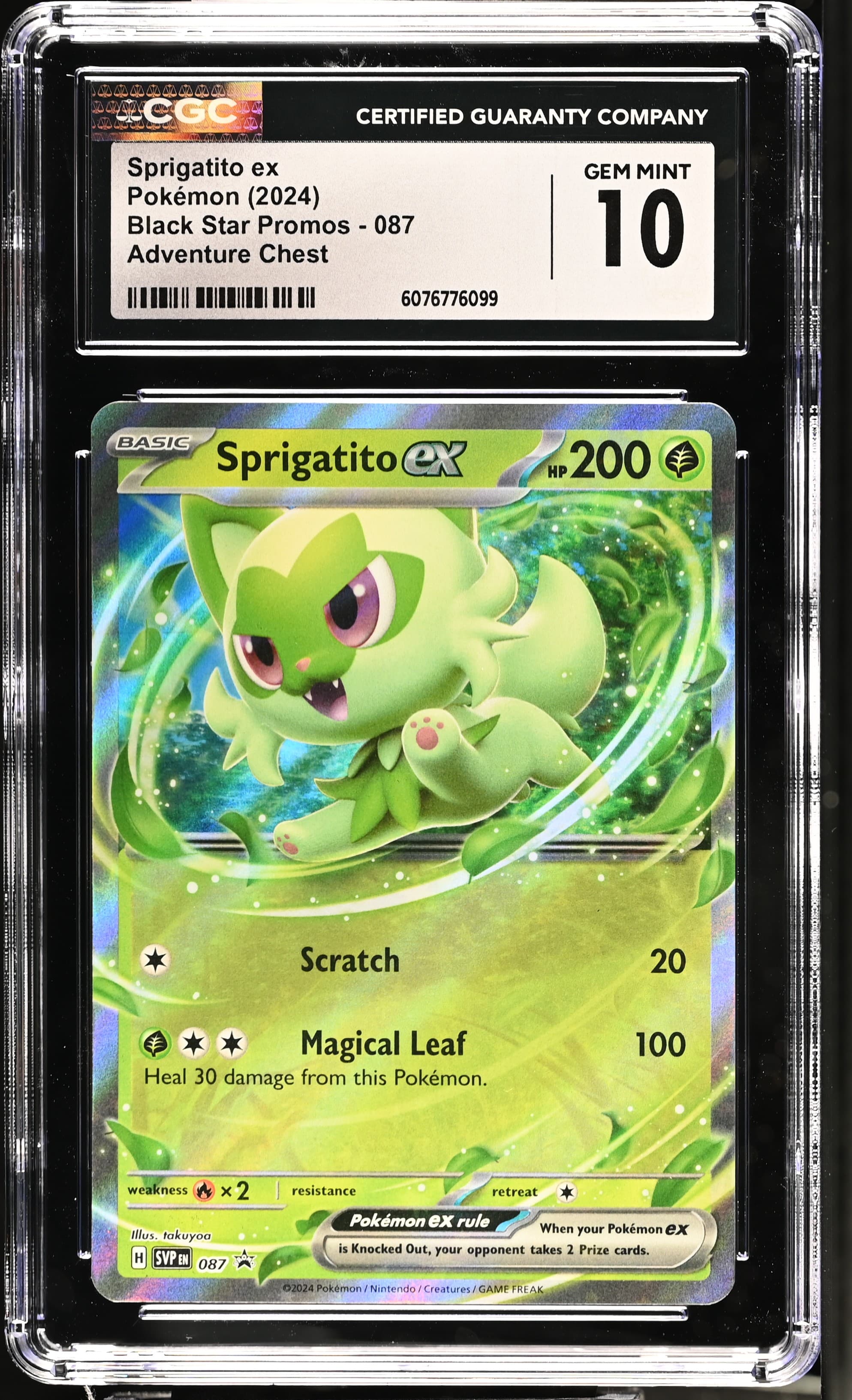 Sprigatito ex