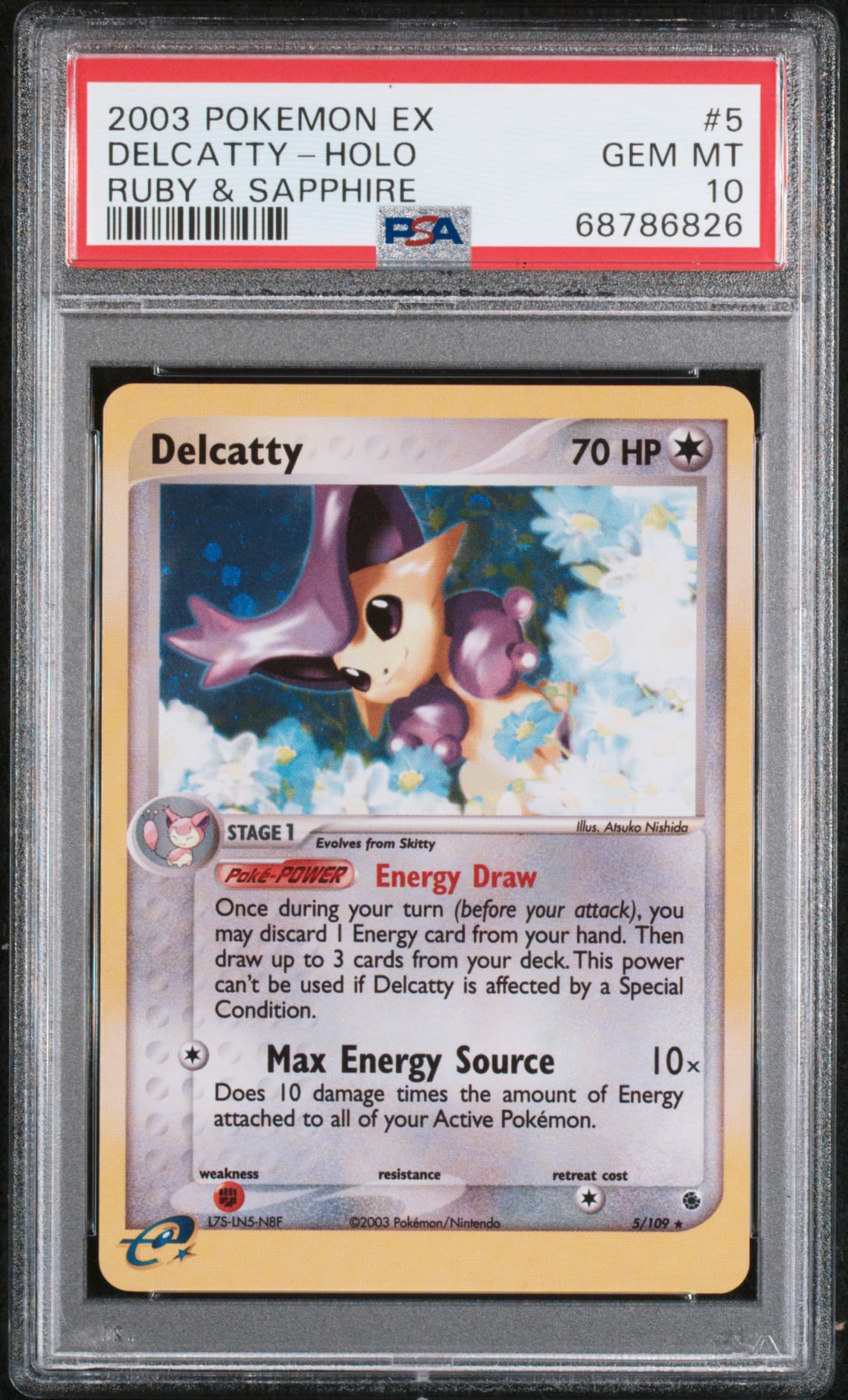 Delcatty-Holo