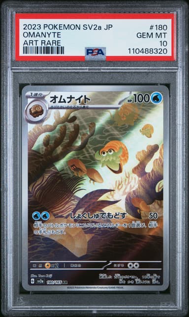 Omanyte