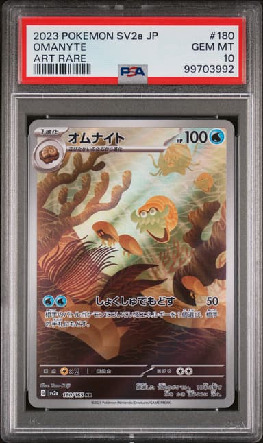 Omanyte