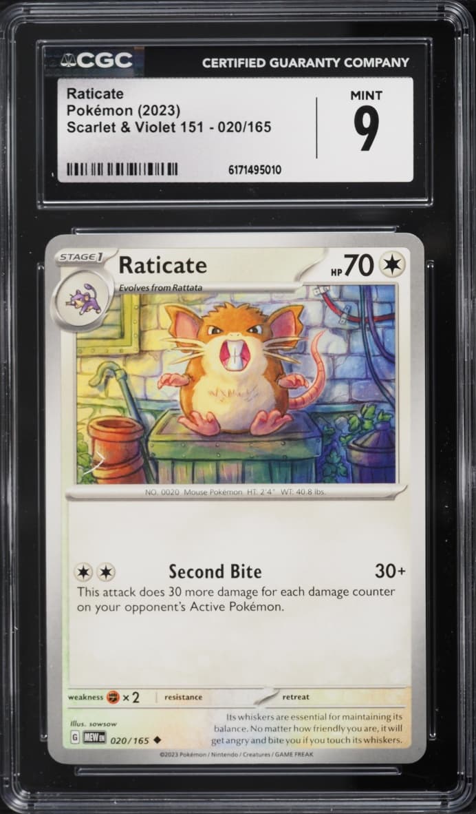 Pokemon Scarlet & Violet 151 Raticate #020