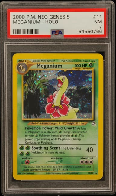 Meganium-Holo