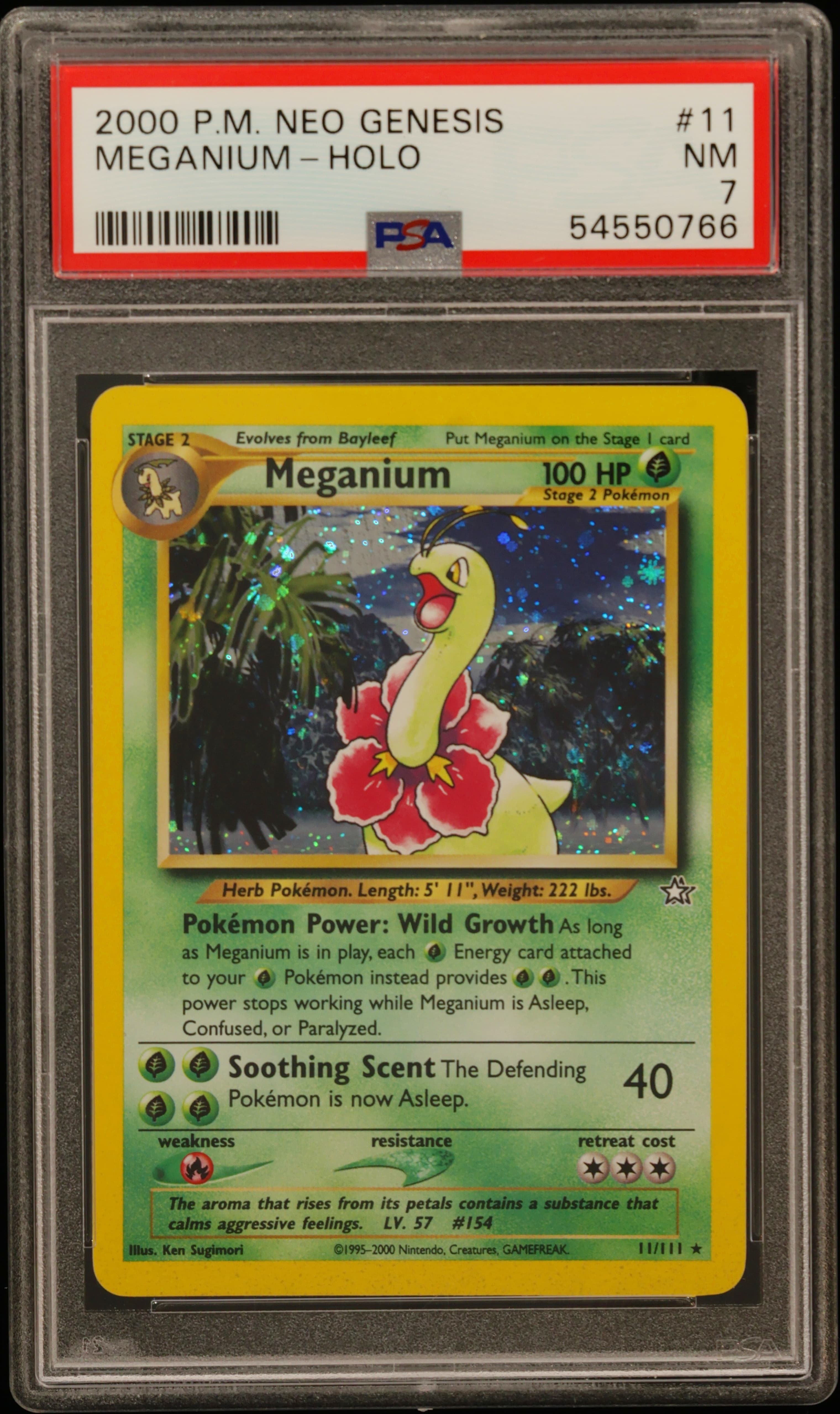 Meganium-Holo