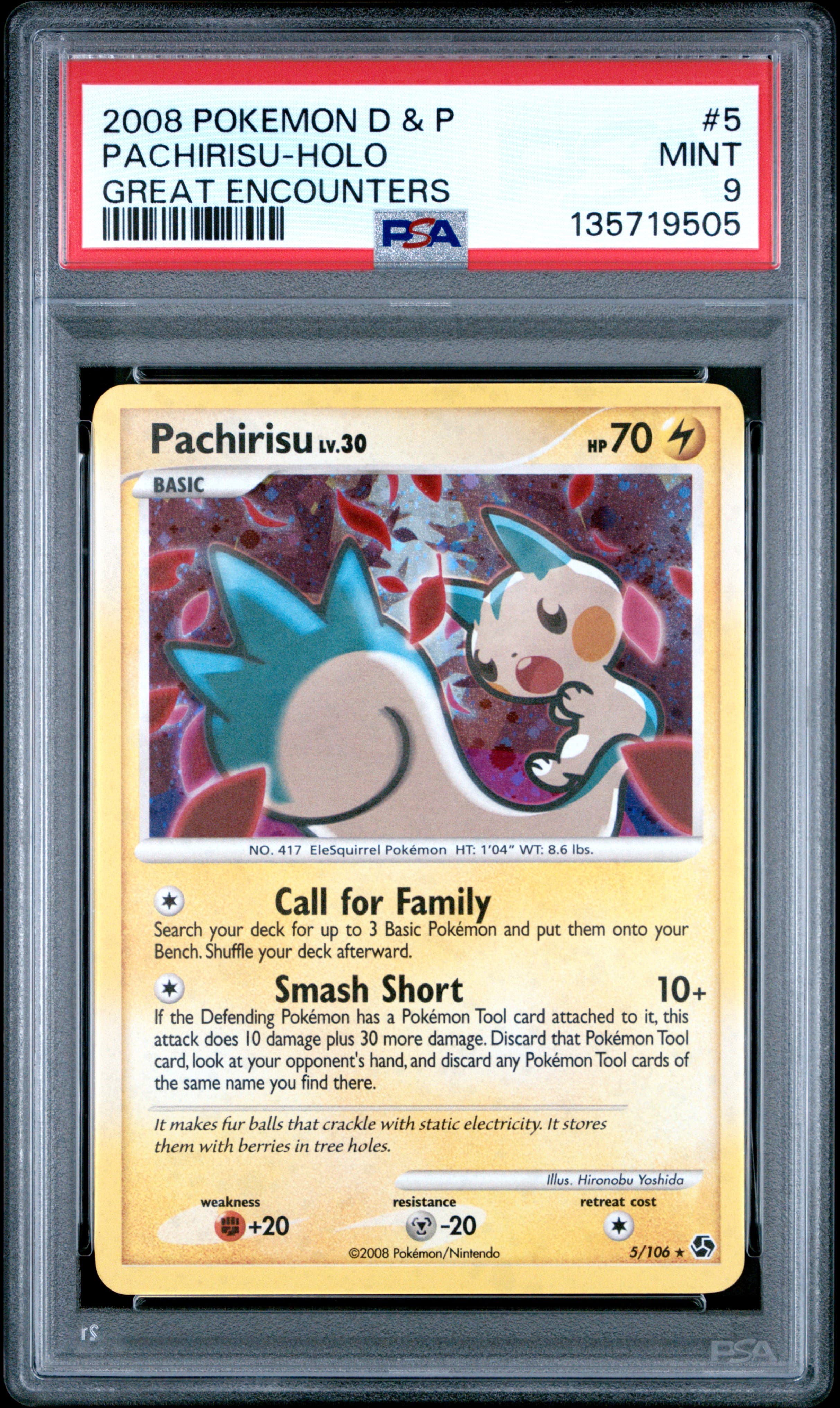 Pachirisu-Holo