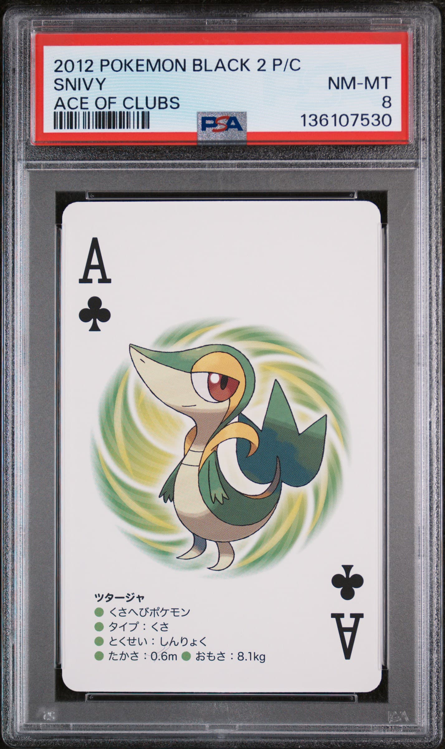 Snivy