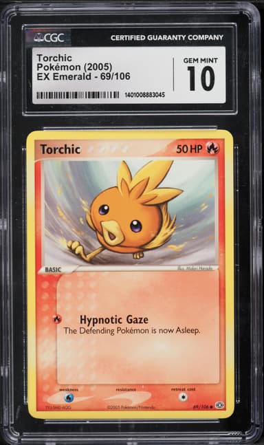 Torchic
