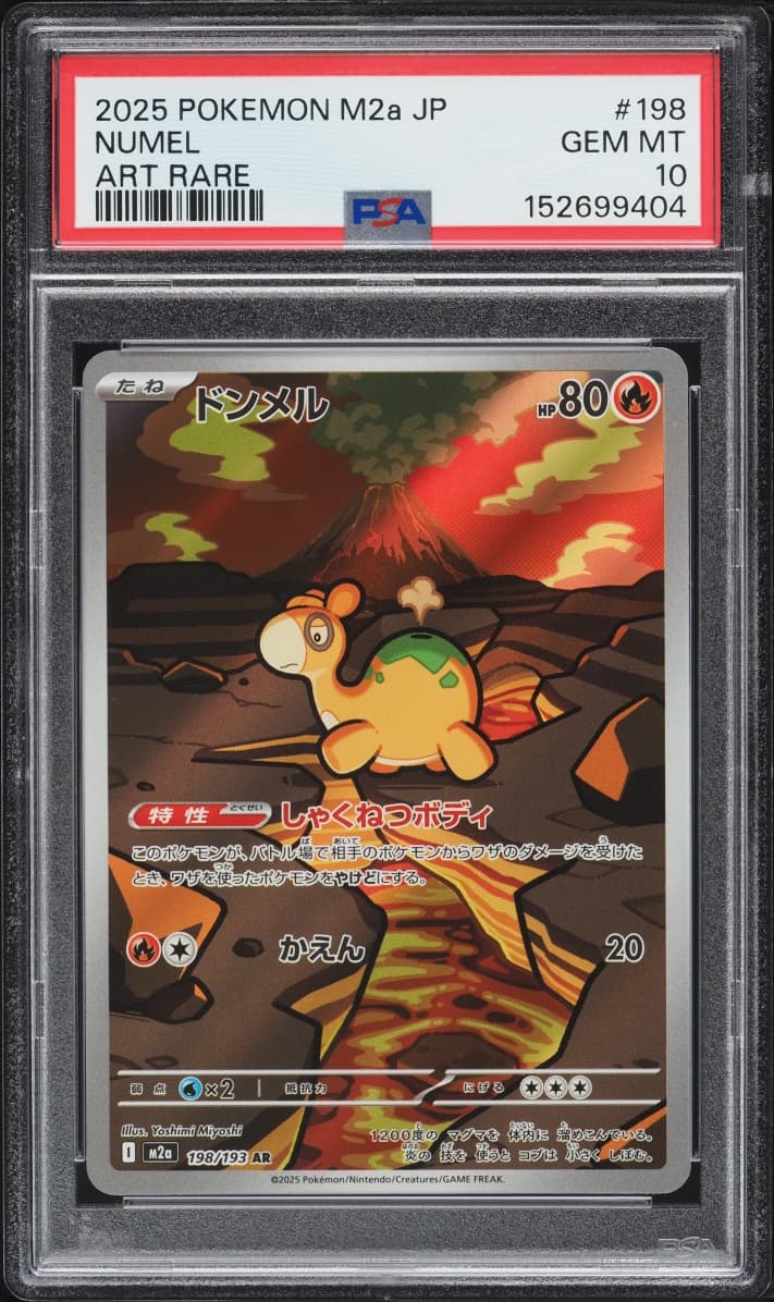 Pokemon Japanese Mega Dream ex AR Numel #198