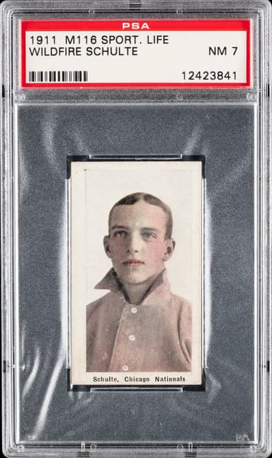 Wildfire Schulte