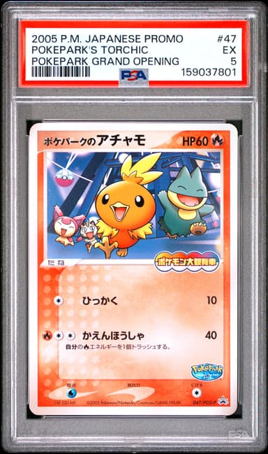 Pokepark's Torchic