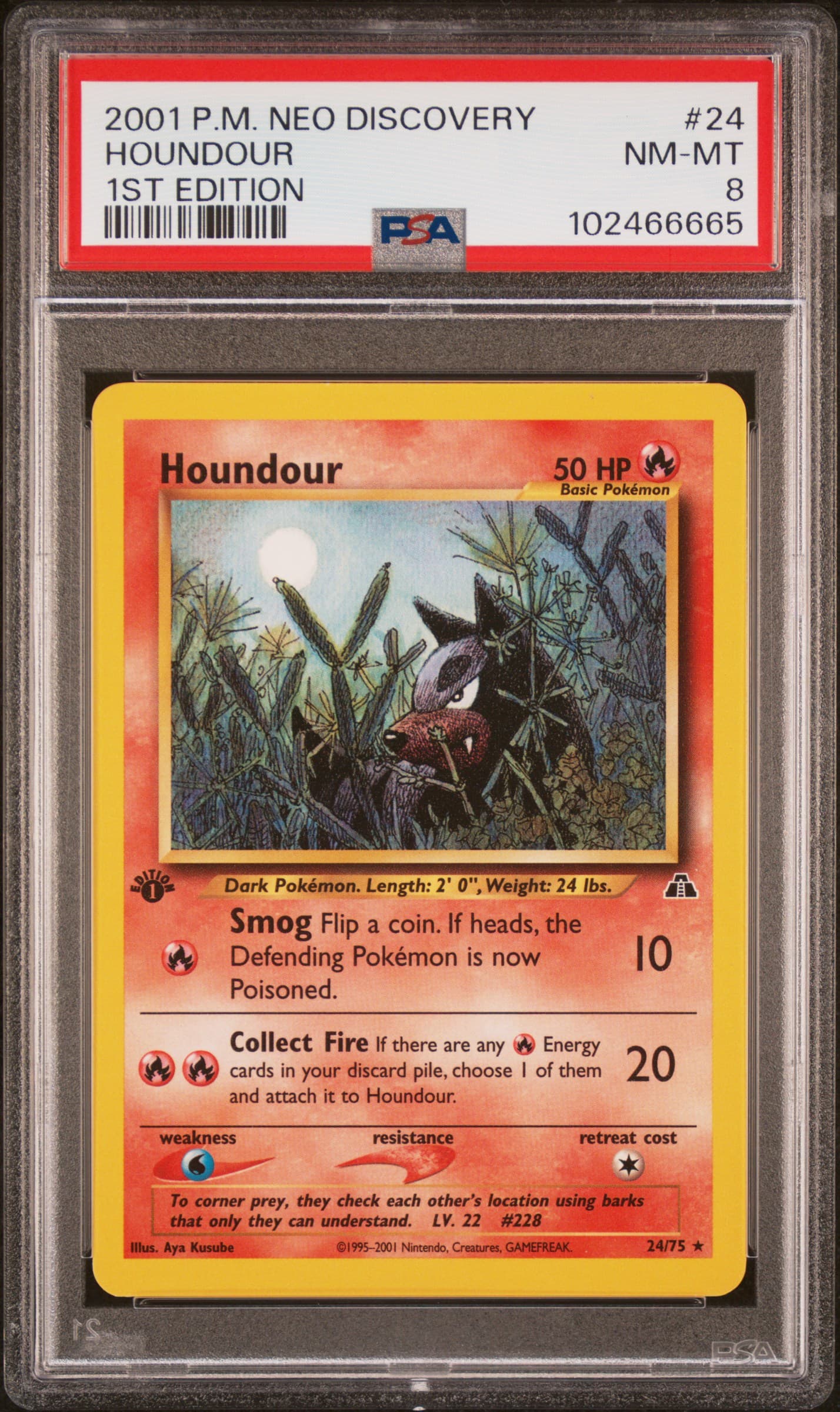 Houndour 1st Edition