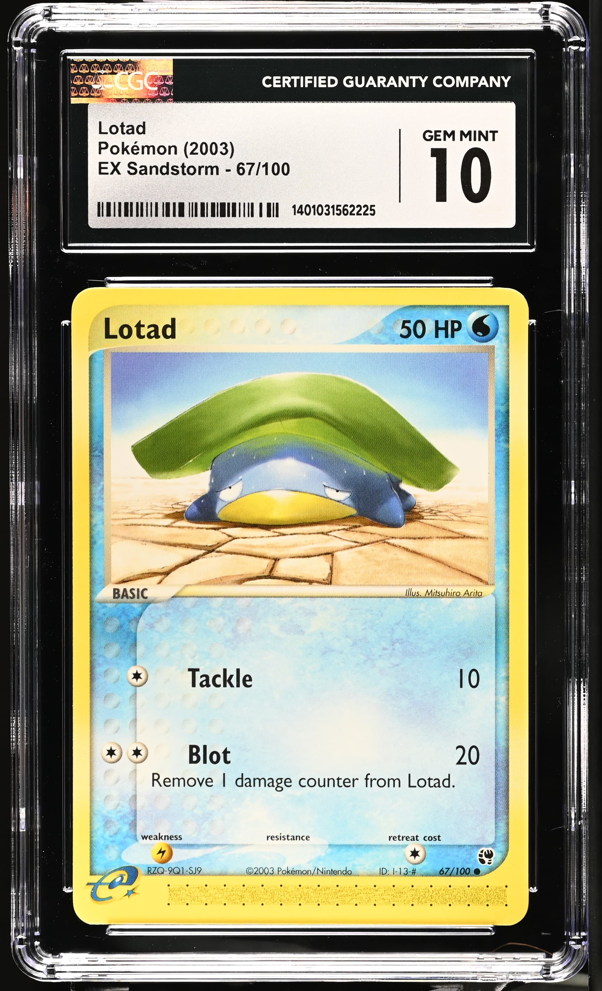 Lotad