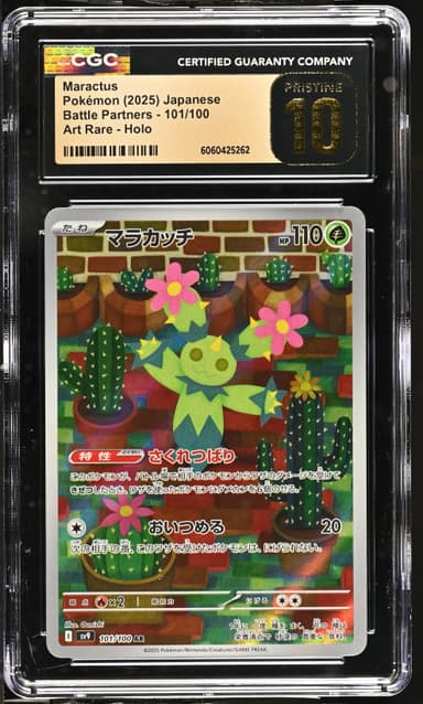 Maractus