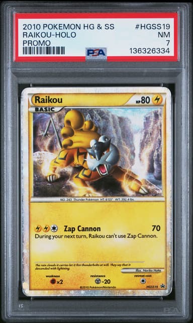 Raikou-Holo