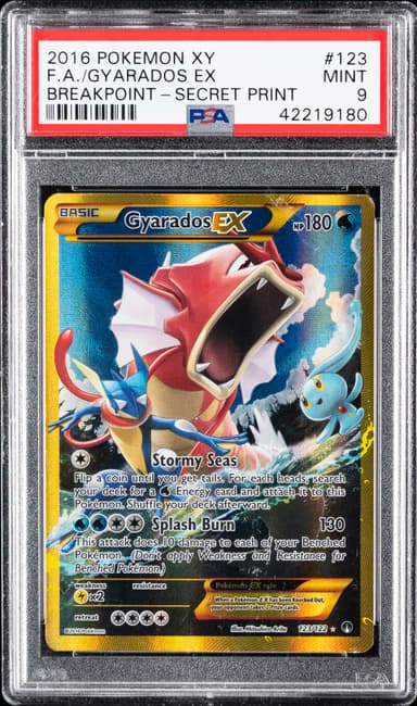 Full Art/Gyarados EX