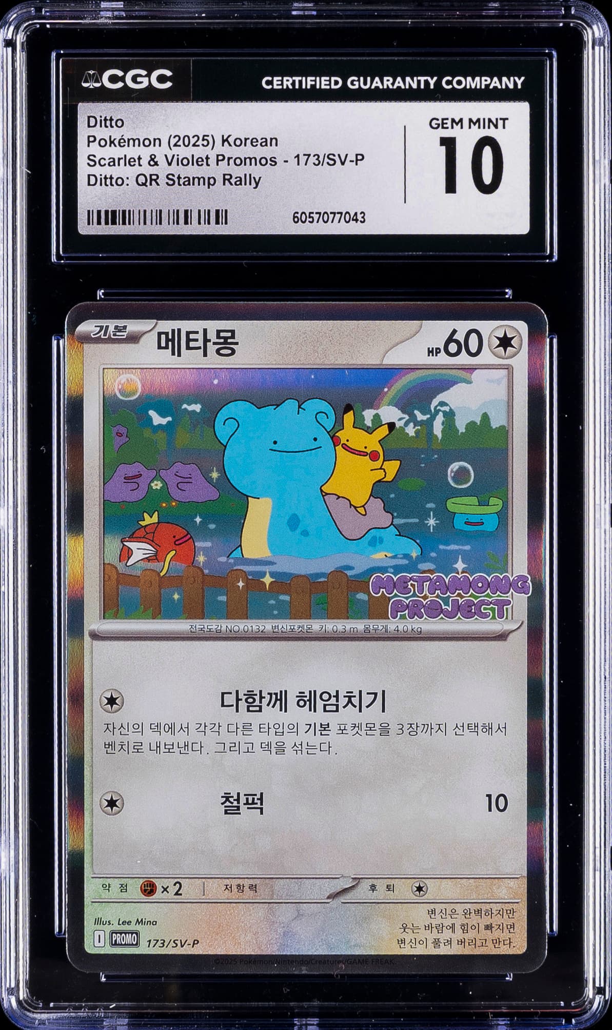 Ditto