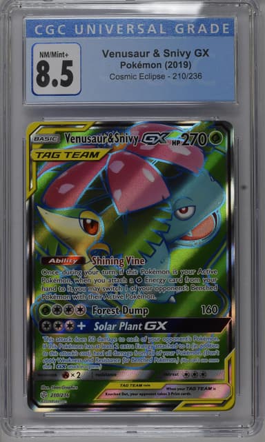 Venusaur & Snivy GX