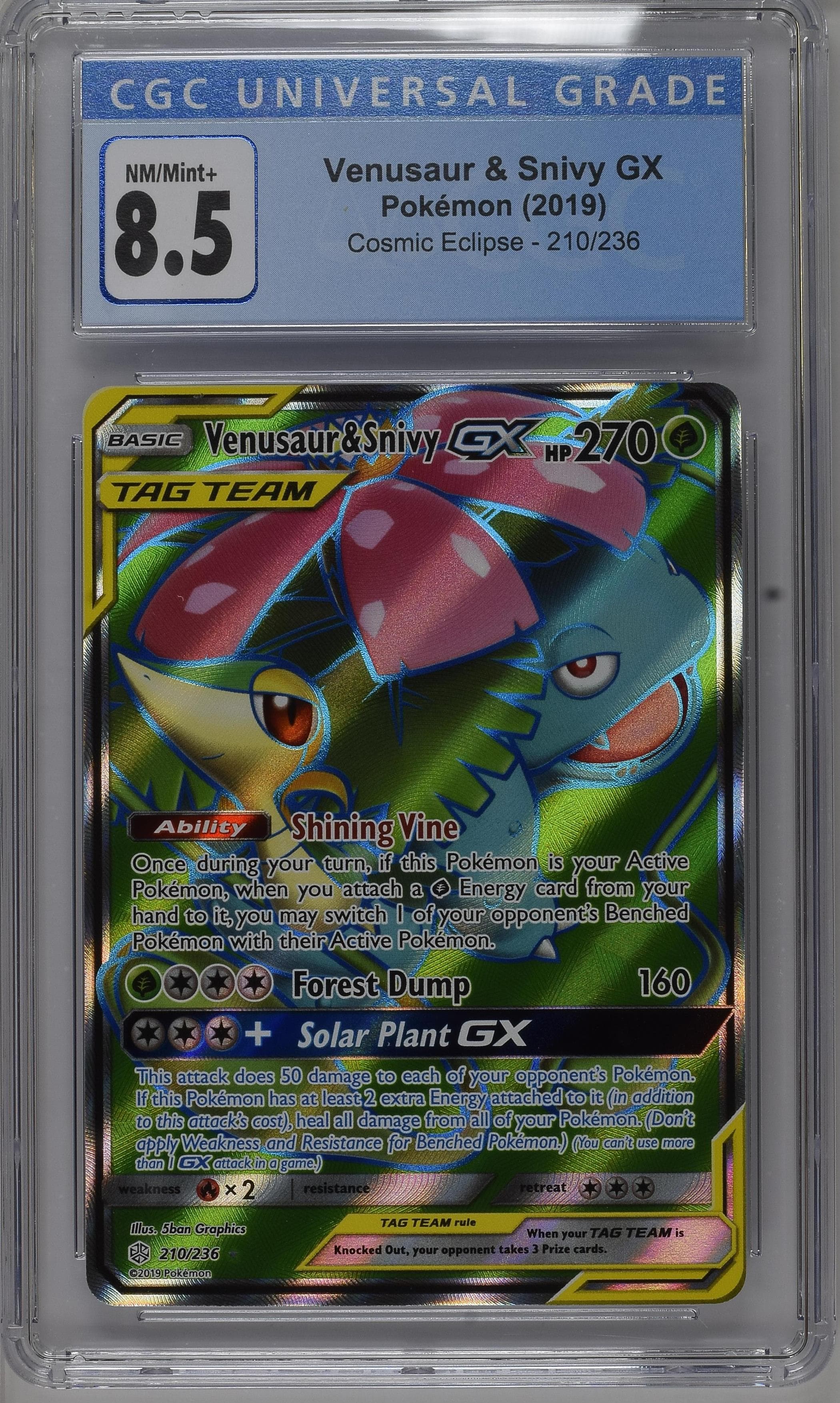 Venusaur & Snivy GX
