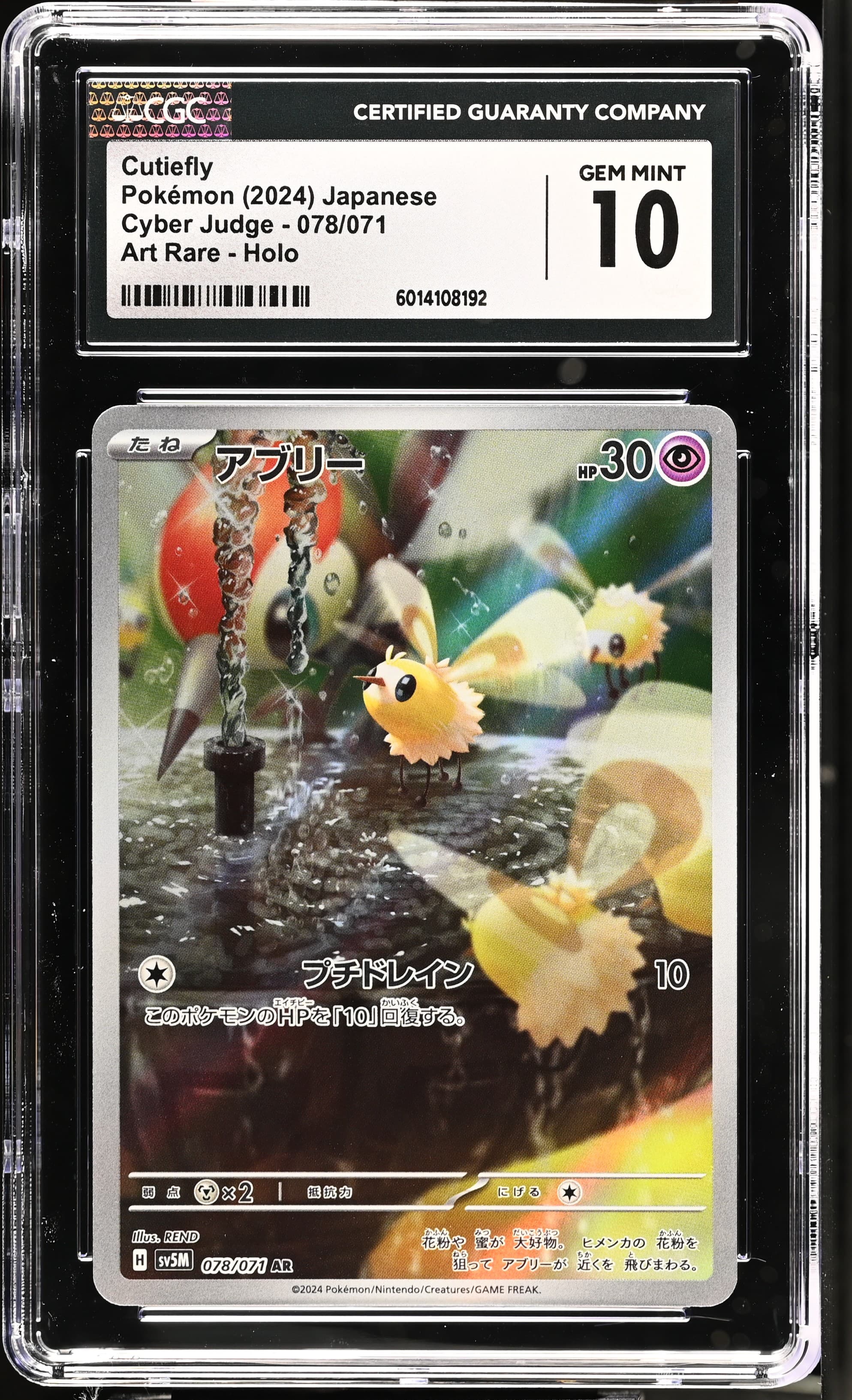 Cutiefly