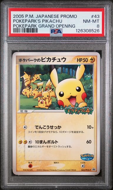 Pokepark's Pikachu