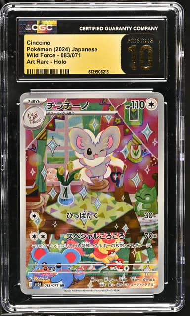 Cinccino