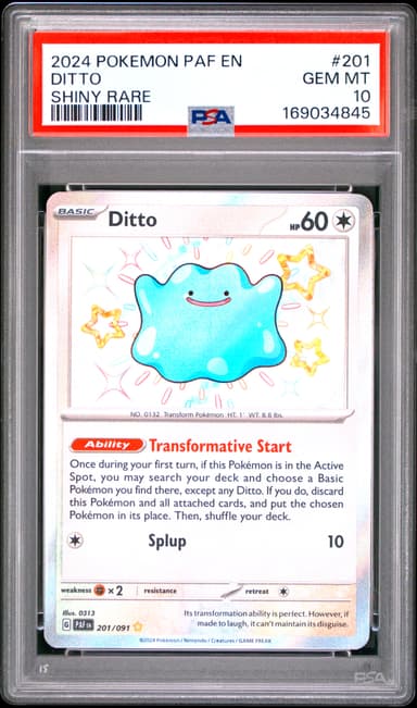 Ditto
