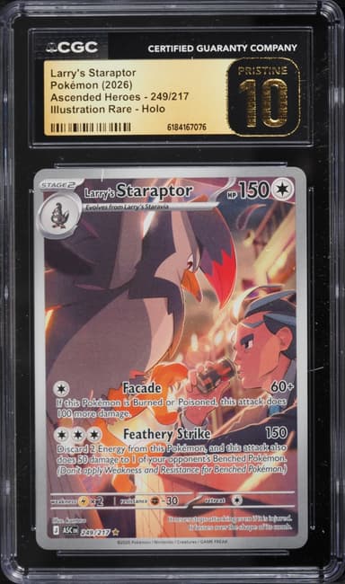 Larry's Staraptor