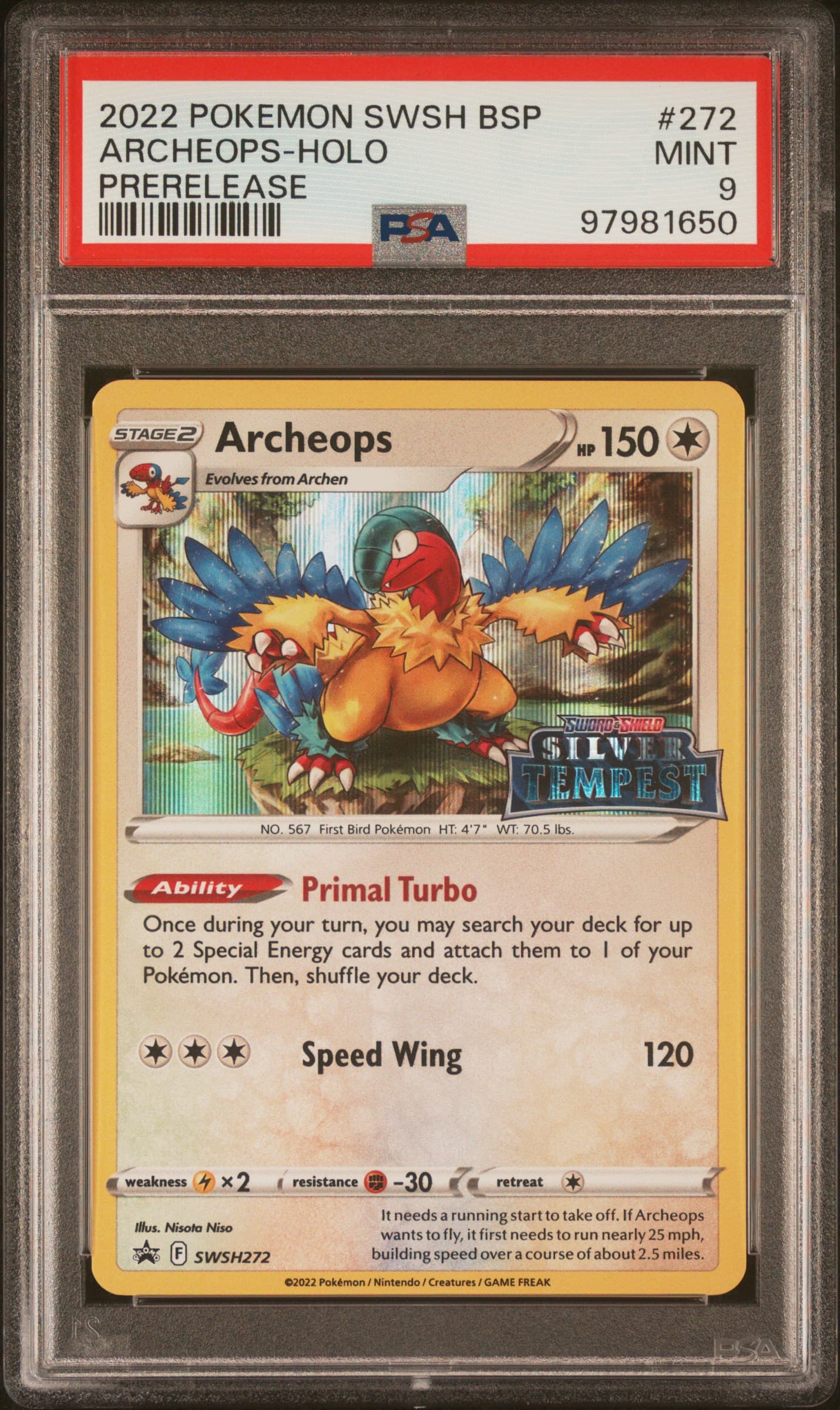 Archeops-Holo