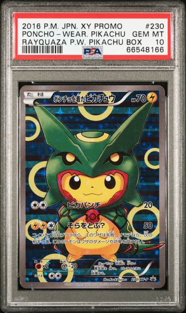 Poncho-Wearing Pikachu