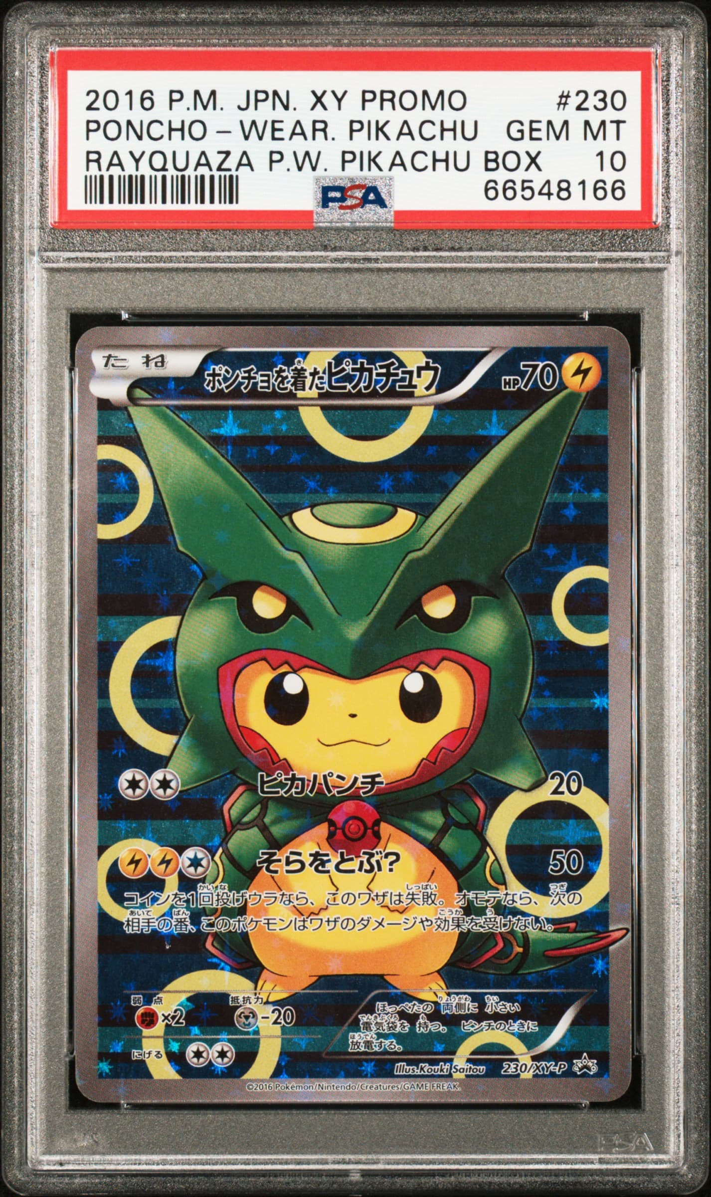Poncho-Wearing Pikachu