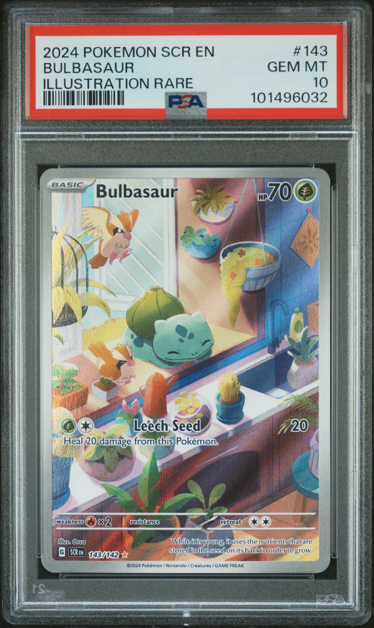 Bulbasaur