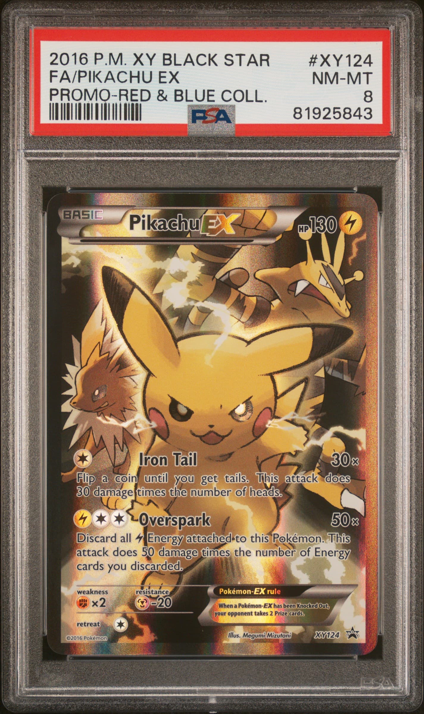 Full Art/Pikachu EX