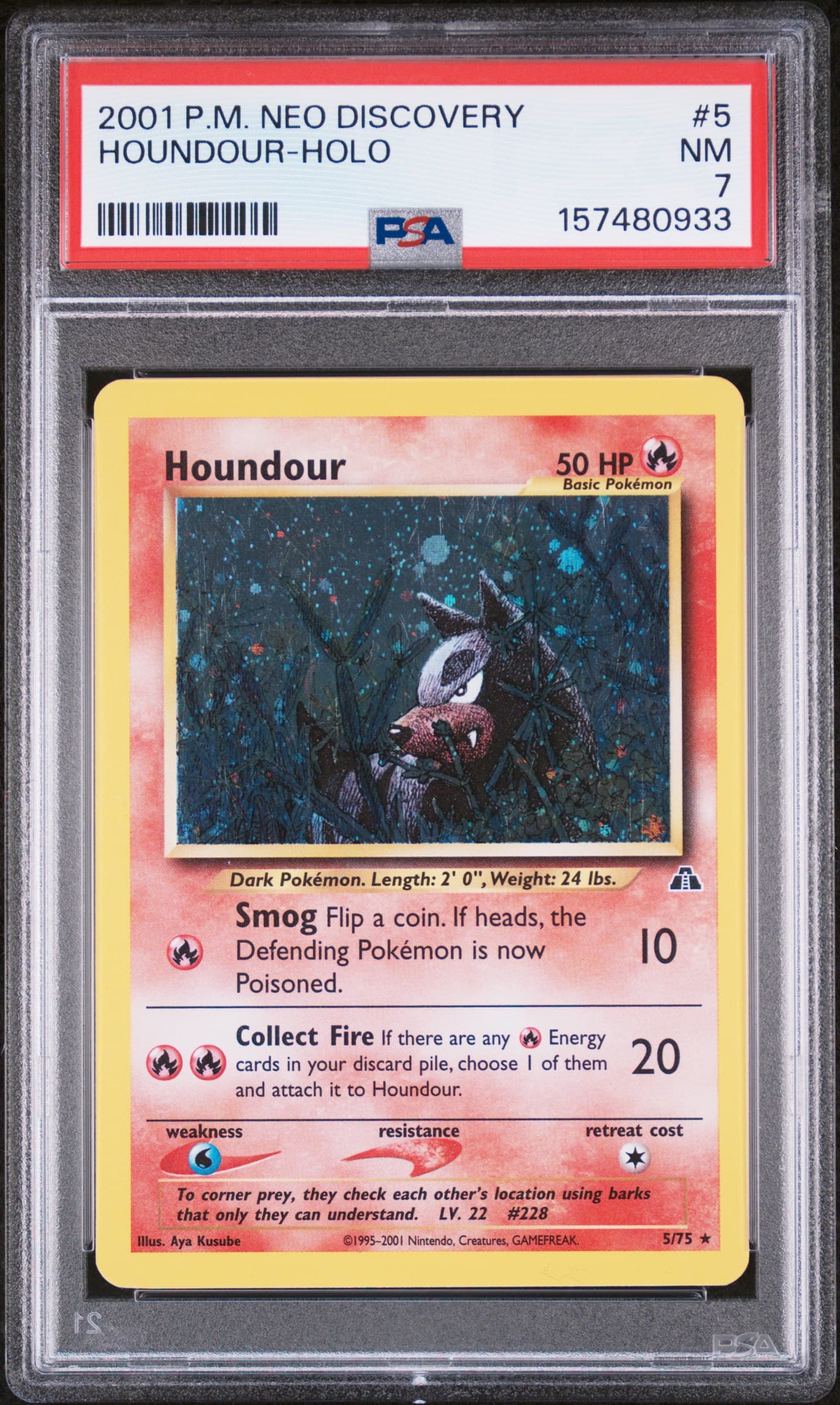 Houndour-Holo